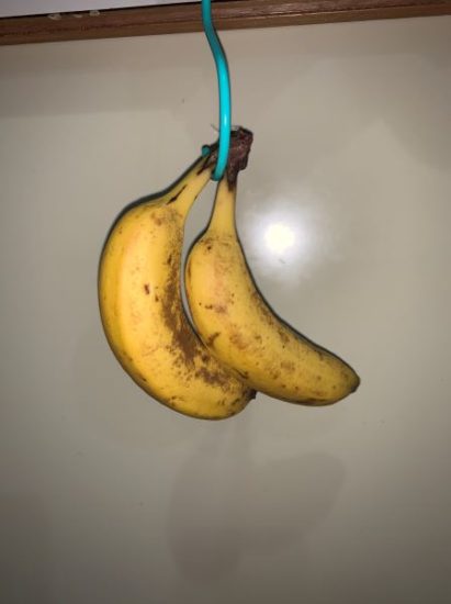 吊るして常温保管のバナナ二日目