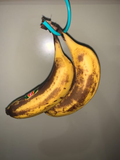 バナナを常温で吊るして4日目